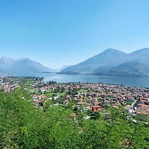 Crotto Palma Dongo